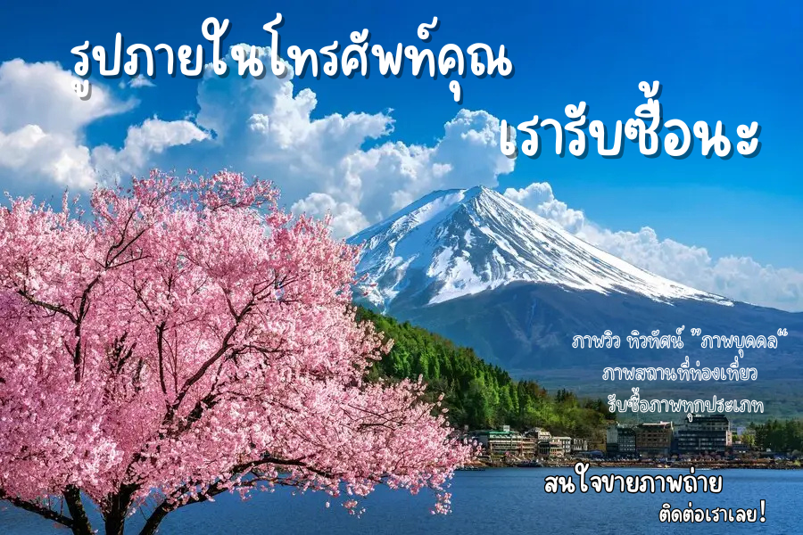 โปรโมชั่นสมาชิกใหม่
